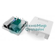 Розетка компьютерная RJ-45(8P8C), категория 5e, экранированная, двойная, внешняя, Dual IDC Hyperline SB1-2-8P8C-C5e-SH-WH