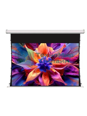 Экран для проектора S'OK SCPSMT-221x125ED30-GR 100 