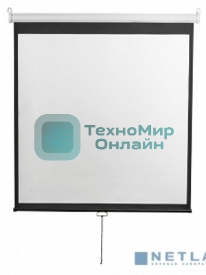 Экран 200x200см Digis Optimal-D DSOD-1105 1:1 настенно-потолочный рулонный