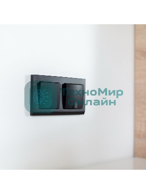 Рамка на 2 поста (черный) W0021808