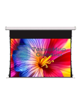 Экран для проектора S'OK SCPSMT-360x270FG-ED60 177 