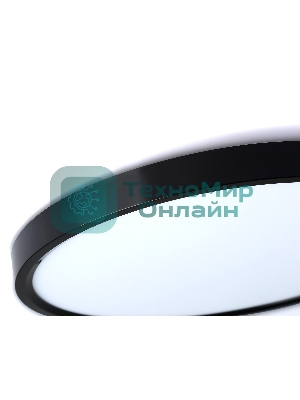Потолочный светодиодный светильник Ambrella light FZ3050 BK черный IP44 24W+10W 6400+6400К D300*40 (Без ПДУ)