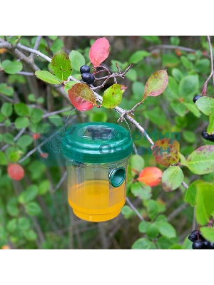 Ловушка для ос Rexant на солнечной батарее