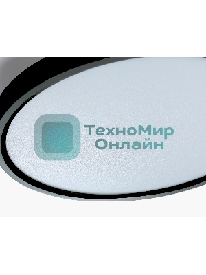 Потолочный светодиодный светильник Ambrella light FZ3050 BK черный IP44 24W+10W 6400+6400К D300*40 (Без ПДУ)