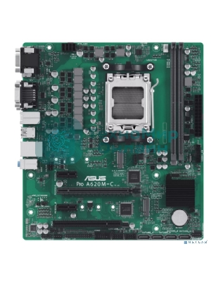 Материнская плата ASUS Pro A620M-C-CSM, AM5, AMD A620, 2xDDR5, 4xSATA, 2xM.2 PCIe 4.0 x4, 1xPCIe 4.0 x16, 2xPCIe x1, 1xRJ45 1GbE, 1xUSB 3.2 Gen 2, 3xUSB 2.0, 1xUSB-C 3.2 Gen 2, 1xDVI-D, 1xDP, 1xHDMI, 1xVGA, 3x3.5 мм, 7.1, mATX