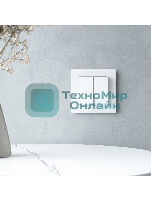 Рамка на 1 пост Senso (белый, стекло soft-touch) W0013101