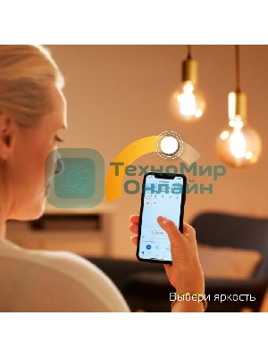 Лампа светодиодная филаментная Gauss Smart Home DIM E27 ST64 Golden 7 Вт 1/10/40
