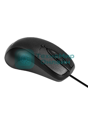 Мышь проводная ExeGate Professional Standard B100 черный, 1000 dpi, USB, кнопки - 3
