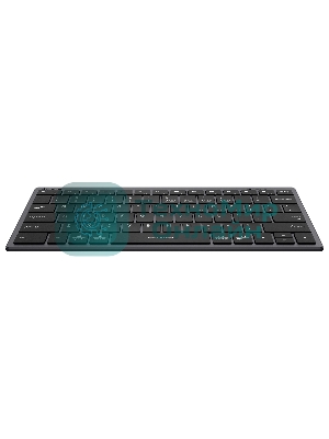 Клавиатура беспроводная A4Tech Fstyler FBX51C серый USB BT/Radio slim Multimedia