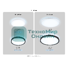 Потолочный светодиодный светильник Ambrella light FZ3055 BK черный IP44 33W+10W 6400+6400К D370*40 (Без ПДУ)