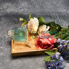 Гирлянда Neon-night 