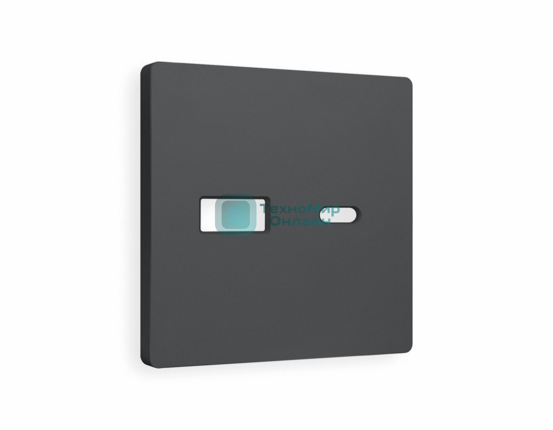 Лицевая панель ALFA (Графит Мягкое касание) для розетки 2USB тип A+C QUANT AP9110