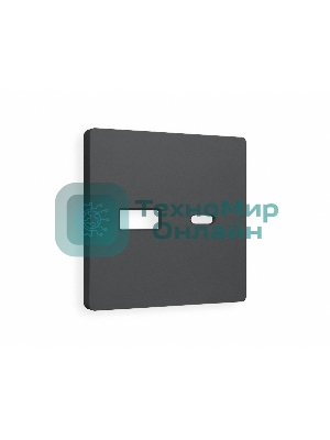 Лицевая панель ALFA (Графит Мягкое касание) для розетки 2USB тип A+C QUANT AP9110