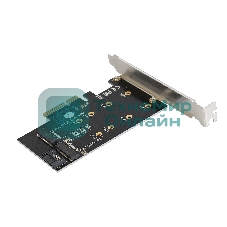Переходник ExeGate EXE-509 M.2 B key + M.2 M Key -> PCI-Ex4/SATA