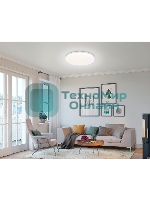 Светодиодный светильник RGB Ambrella light FZ417 WH белый IP20 46W 3000K-6500K+RGB D380*60 (ПДУ ИК)