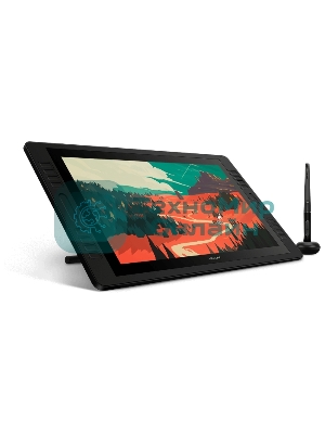 Графический монитор Huion Kamvas Pro 20 (2019), 19.5