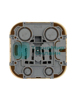 Розетка без заземления без шторок Legrand 782270 (Дерево)