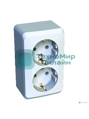 Розетка 2-м ОП Этюд 16А с заземл. белый SchE PA16-007B