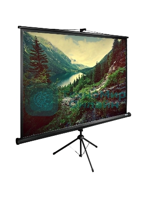 Экран Cactus 220x220 см TriExpert CS-PSTE-220х220-BK 1:1 напольный рулонный
