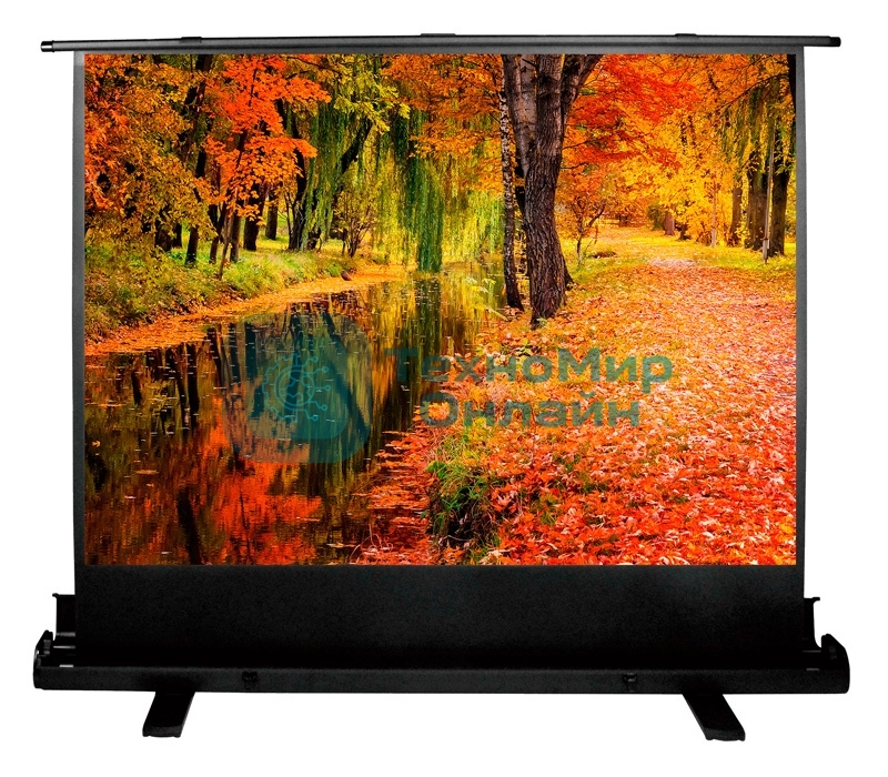 Экран Cactus 150x200 см FloorExpert CS-PSFLE-200X150 4:3 напольный рулонный