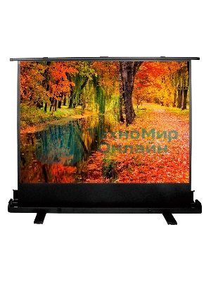 Экран Cactus 150x200 см FloorExpert CS-PSFLE-200X150 4:3 напольный рулонный