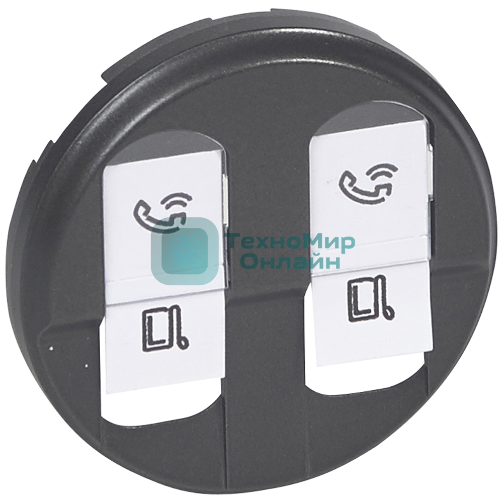 Лицевая панель двойной розетки RJ45, графит