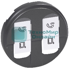 Лицевая панель двойной розетки RJ45, графит