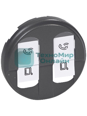 Лицевая панель двойной розетки RJ45, графит