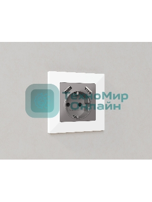 Комплект механизма электрической розетки ALFA Сталь матовый 2USB A+A 18W (быстрая зарядка) с/з QUANT (AP5090, VM155) MA509010