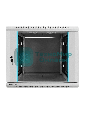 Шкаф телекоммуникационный 19