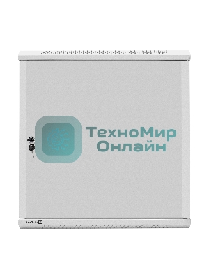 Шкаф телекоммуникационный 19