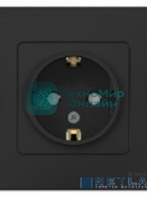 Розетка с/з С/У Антрацит со шторками, 16А, 250В BLNRS001116 Schneider Electric