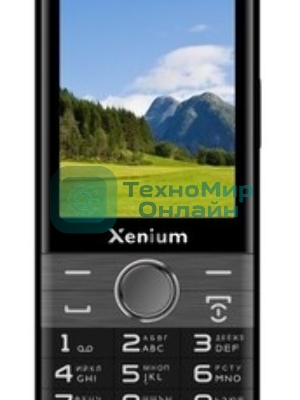 Мобильный телефон Xenium X800 черный