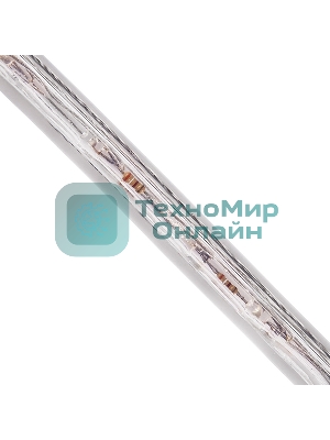 Дюралайт LED, постоянное свечение (2W) - красный, 36 LED/м, бухта 100м Neon-Night