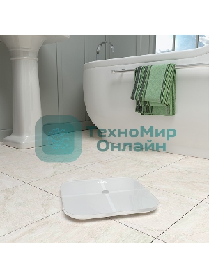 Весы электронные Halsa HSL-H-221W