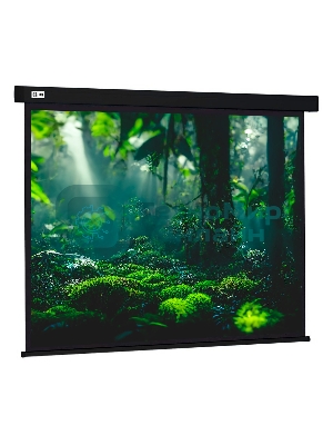 Экран Cactus 213x213см Wallscreen CS-PSW-213X213-BK 1:1 настенно-потолочный рулонный черный