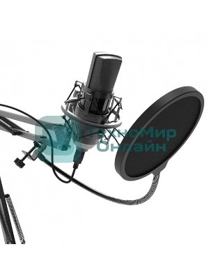 Микрофон Ritmix RDM-180 черный