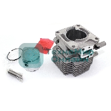 Поршневая группа для Hitachi CG27EAS 110121