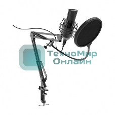 Микрофон Ritmix RDM-180 черный