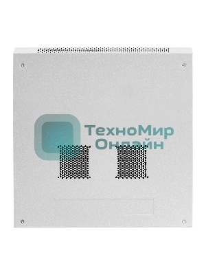 Шкаф телекоммуникационный 19