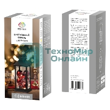 Декоративный фонарь Neon-night с шариками, черный корпус, размер 14х14х27 см, цвет теплый белый