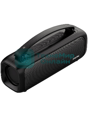 Колонка портативная Hyundai H-PS1020 черный 16W 2.0 BT 10м 1500mAh