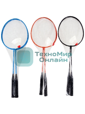 Ecos Набор для игры в бадминтон BdSet-01