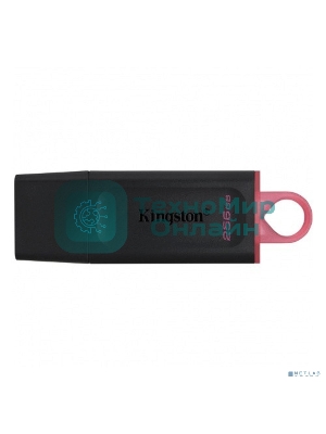 Флешка USB Kingston DataTraveler Exodia (DTX/256GB), 256Gb, USB 3.2 Gen 1, R/W 200/60, черный/розовый