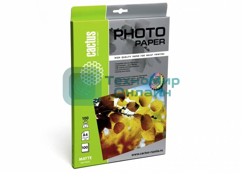 Фотобумага Cactus CS-MA4100100 A4/100г/м2/100л. матовая для струйной печати