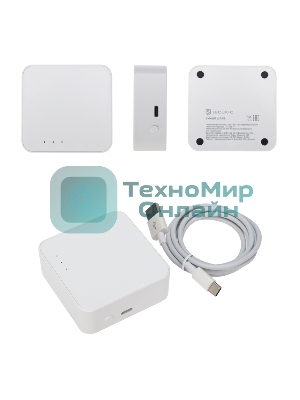 Умный шлюз Securic SEC-GT-101 