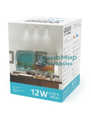 Светильник Gauss Overhead потолоч. белый (HD011)