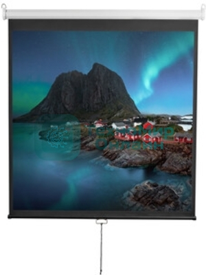 Экран 240x240см Digis Optimal-D DSOD-1107 1:1 настенно-потолочный рулонный
