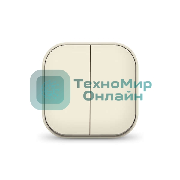 Выключатель 2-кл. 1п ОП 10А IP20 сл. кость IONICH 1425