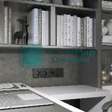 Накладка для двойной розетки Еthernet RJ-45 (черный)